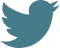 Twitter blue icon