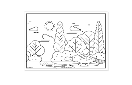 Percy the platypus colouring sheet